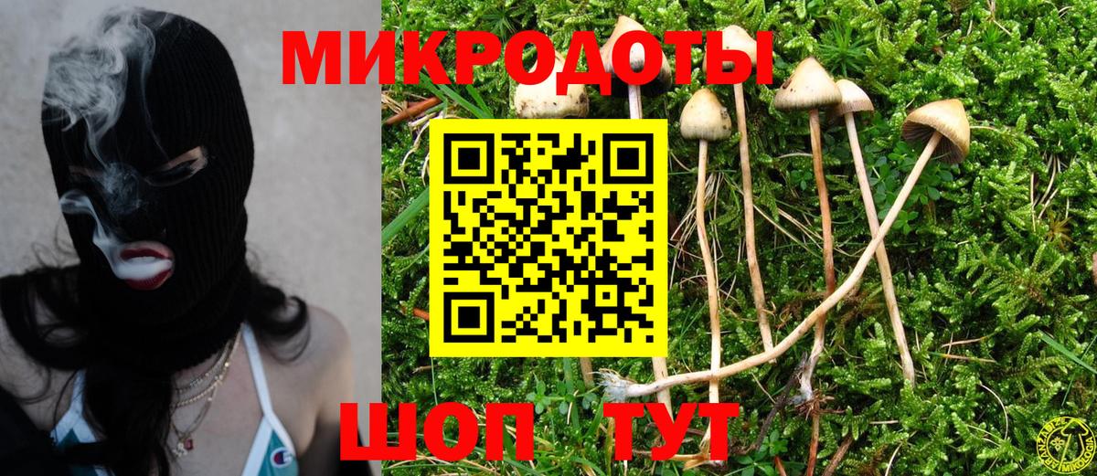 Псилоцибиновые грибы Cubensis Азов