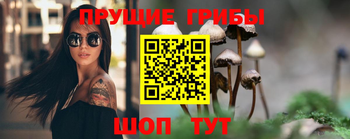 Азов  Псилоцибиновые грибы Cubensis  Вход с VPN 